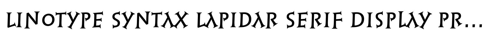 Linotype Syntax Lapidar Serif Display Pro Medium image